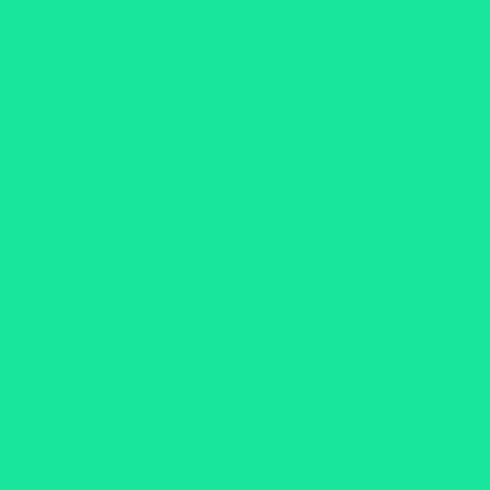 CKc mint green color